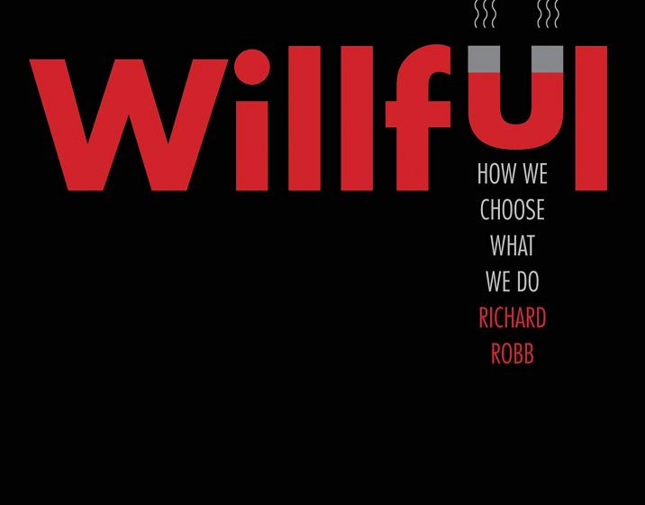 Willful: How We Choose What We Do